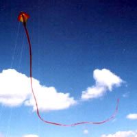 Image for Peter Powell