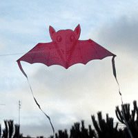 Image for Pipiaquilo