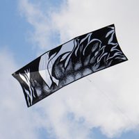 Image for Poster Kite