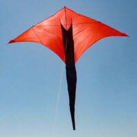 Image for Die roten Deltas