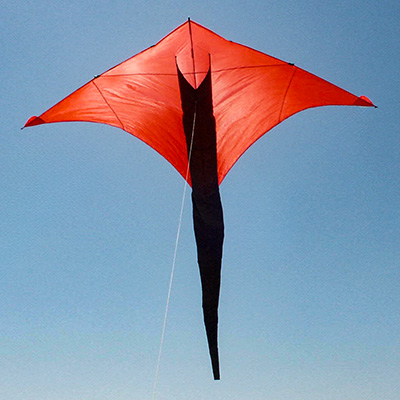 Image for Die roten Deltas