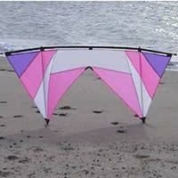 Image for Revolution Cadet