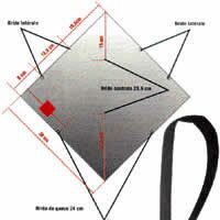 Image for Le parawing de Francis Rogallo