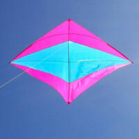 Image for RonBus 5-3