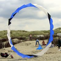 Image for 24 Panel Rotor