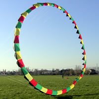 Image for The slim rotor