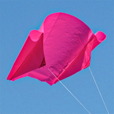 Image for Salida Sled