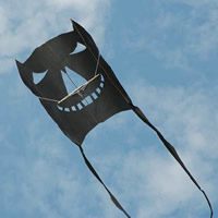 Image for Satanische Drachen