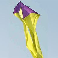 Image for Schleierdelta