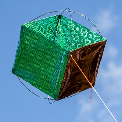 Image for The Sedgwickcube