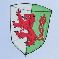 Image for Shield Kite