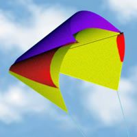 Image for Parasled 100