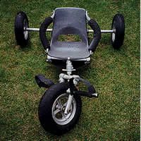 Image for Buggy Slow-Brain