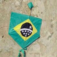 Image for Brazillian Pipa Fighter