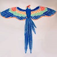 Image for Bird Kites