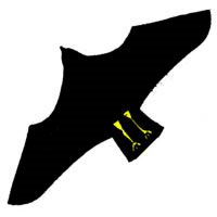 Image for Black Crow