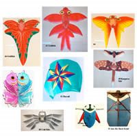 Image for Flat Kites - Part 2