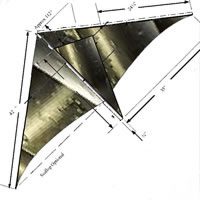 Image for Silver Zephyr