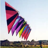 Image for Speedwing Super