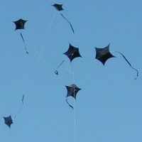 Image for Shooting Star Train Kites