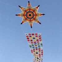 Image for 101 Sterne