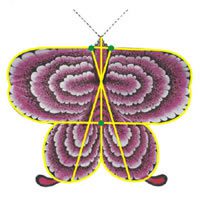 Image for Mariposa China