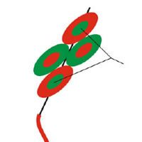 Image for Cometa Naranja de la China