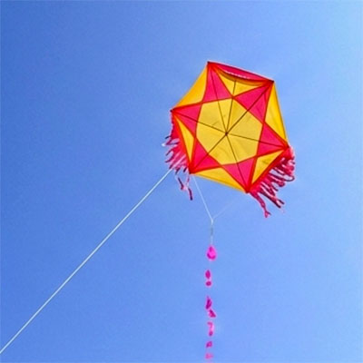Image for The Surinam Fighter Kite
