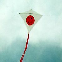 Image for Susie's Simple Kite