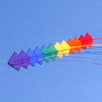 Image for Tren Dina-Kites