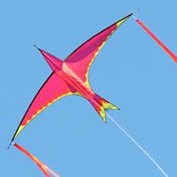 Image for Peter Schmidt's Firebird