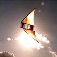 Image for Delta Conyne/Delta Pilot