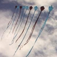 Image for Train de Cerfs-volants