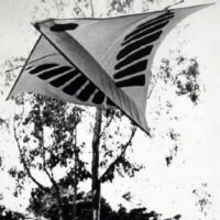 Image for Helen Bushell's Trefoil