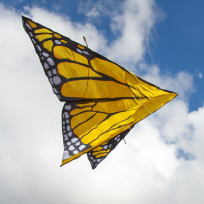 Image for Helen Bushell's Moth