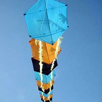 Image for Tren de Rokakus