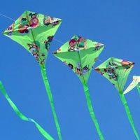 Image for Tren de Eddys