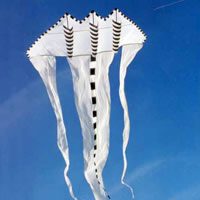 Image for Trippledelta