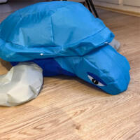 Image for Niek's Turtle