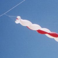 Image for Twisty Tube Tail