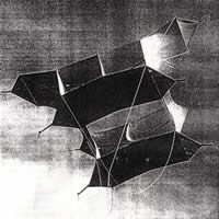 Image for Cody mit Tyvekbespannung