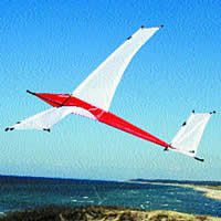 Image for Ultralight Flieger