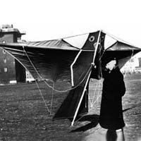 Image for Vogendrachen