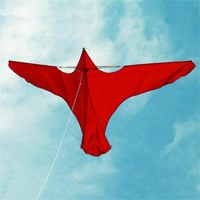 Image for Voigtländer