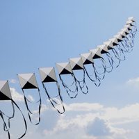 Image for La Vulandra