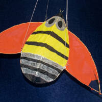 Image for Kurahashi Wasp