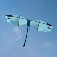 Image for Waterjuffer (Damselfly)