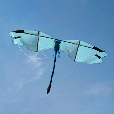 Image for Waterjuffer (Damselfly)