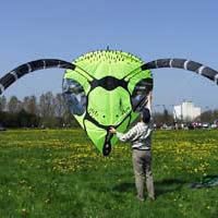 Image for Wespenface