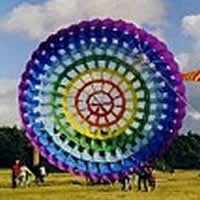 Image for Rosettenrotor 3 Ringe